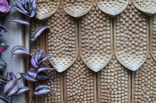 Photo close-up of plant growing against patterned wall