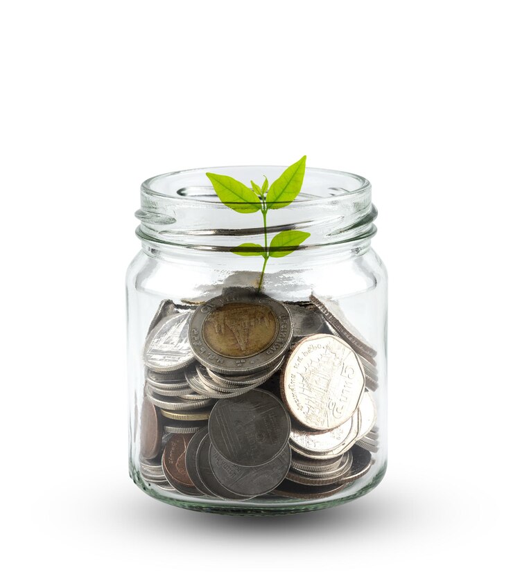 Photo close-up of plant growing from coins in jar
