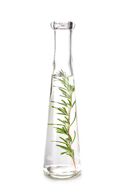 Close-up of plant growing in glass jar against white background