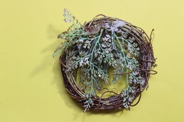 Close-up of plant in nest