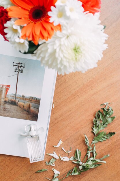 Close-up of plant and photograph on table