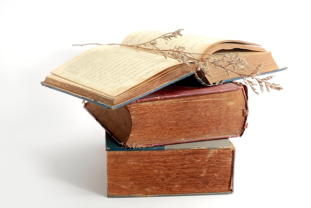 Близкий план растения на сложенных книгах на белом фоне