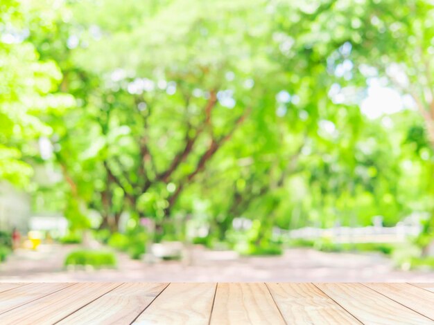 Close-up of plant on table in park