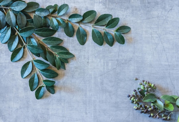 Close-up of plant on table