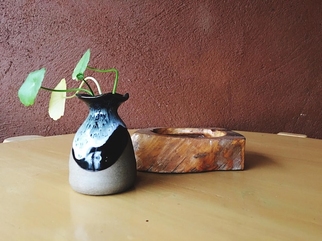 Photo close-up of plant in vase on table against maroon wall