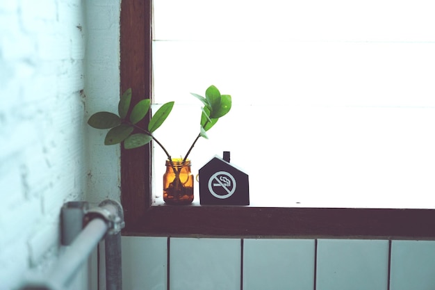 Photo close-up of plant on window