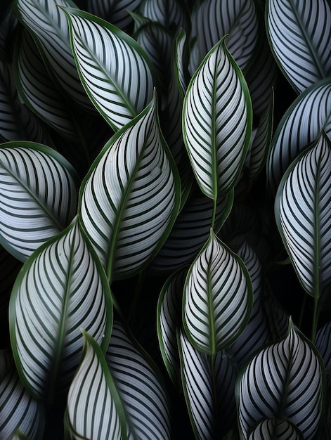 a close up of a plant with green leaves