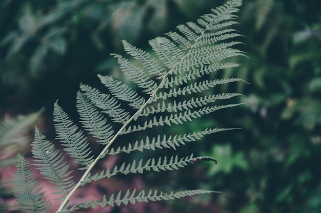 Foto prossimo piano dell'impianto