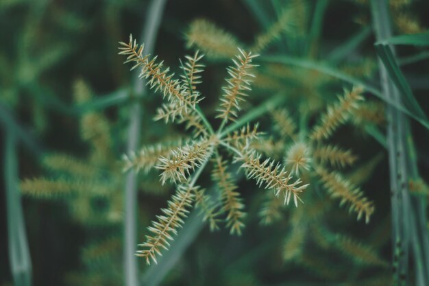 Foto prossimo piano dell'impianto