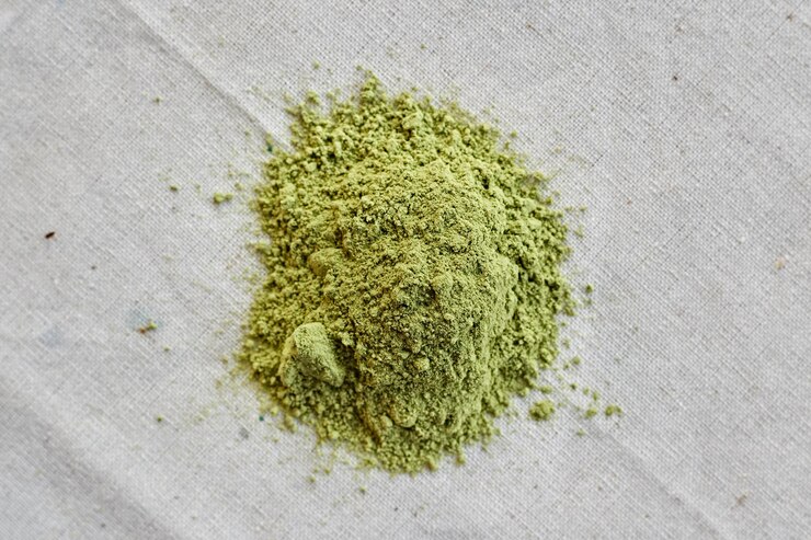 Photo close-up of plant