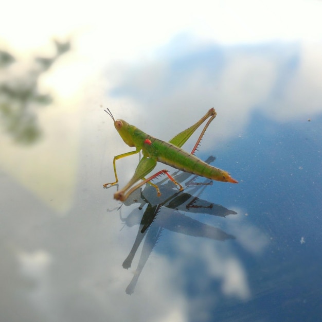 Foto prossimo piano dell'impianto