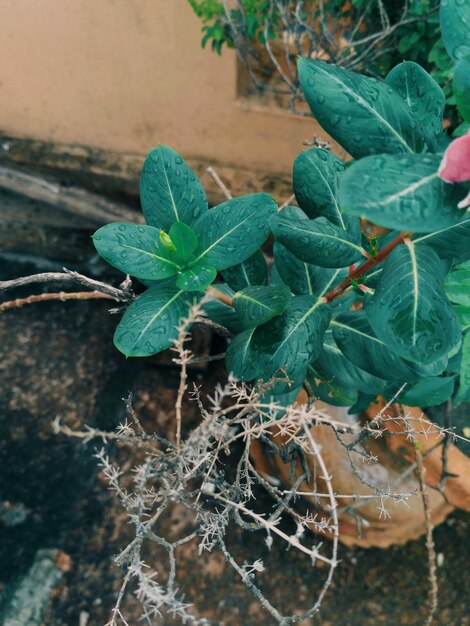 Foto prossimo piano dell'impianto