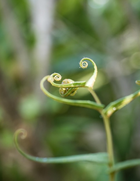 Foto prossimo piano dell'impianto