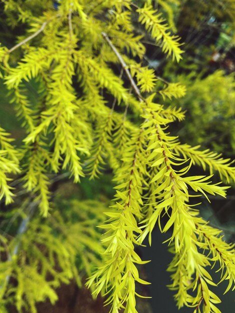 Foto prossimo piano dell'impianto