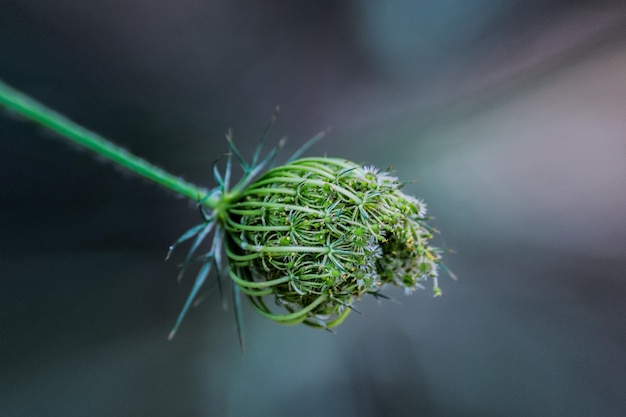 Foto prossimo piano dell'impianto