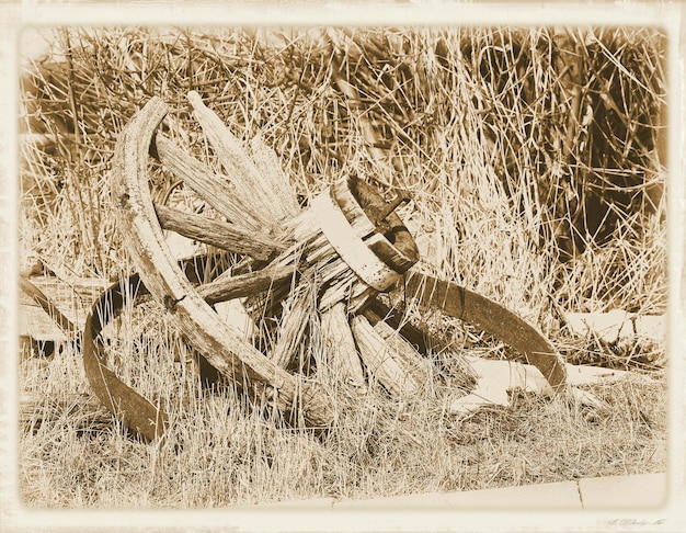 Foto prossimo piano dell'impianto