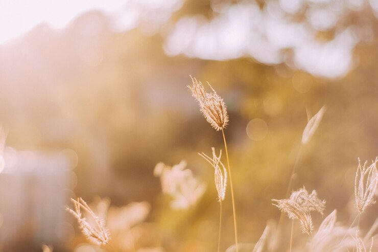 Photo 공장의 클로즈업