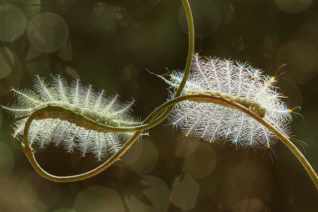 Foto prossimo piano dell'impianto