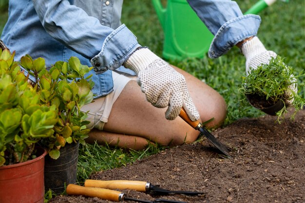 Photo close up planting flowers in soil