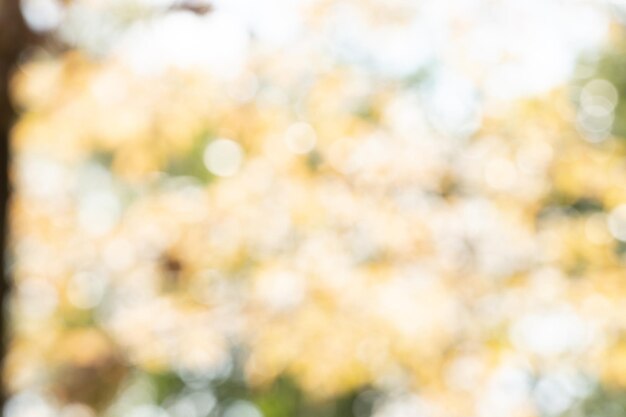 Close-up of plants against blurred background