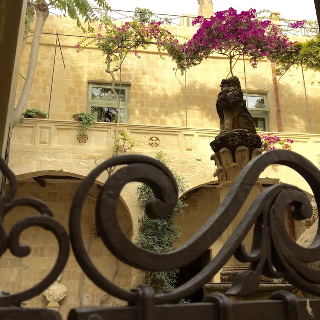 Photo close-up of plants against the wall