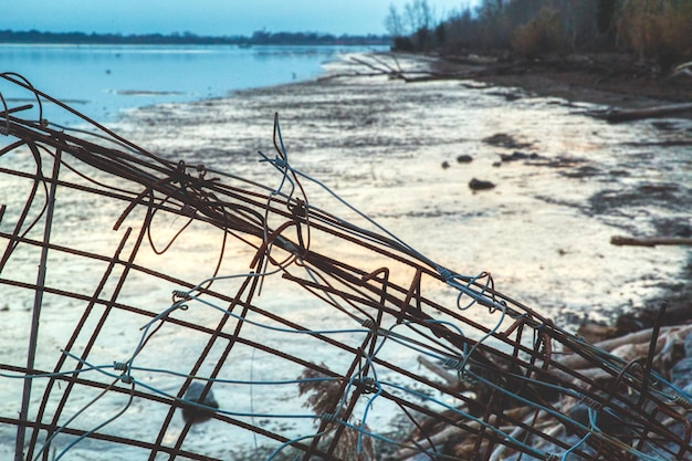 Foto close-up di piante sulla spiaggia contro il cielo