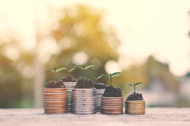 Close-up of plants growing out of coins