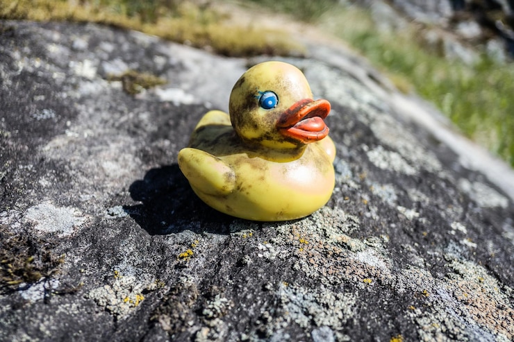 फोटो close-up of plastic duck on rocky surface