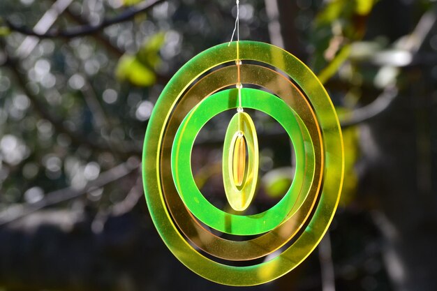 Photo close-up of plastic rings