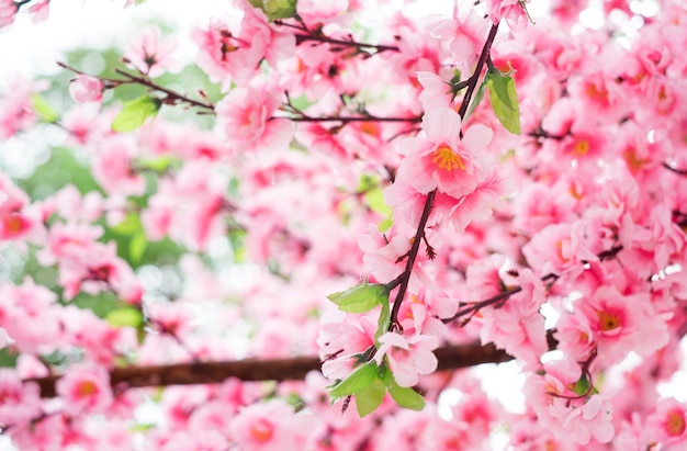 close-up plastic sakura bloem