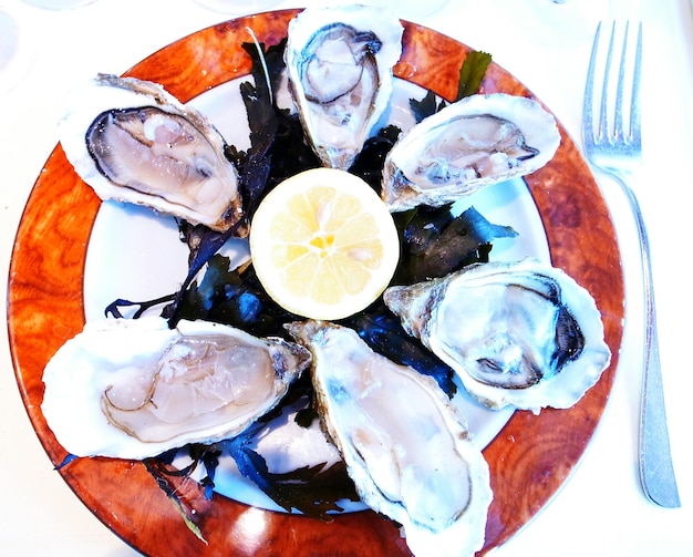 Photo close-up of plate of oyster