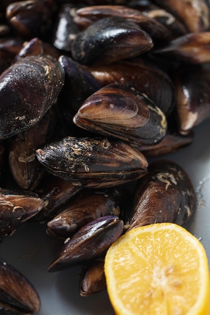 Close up of a plate with freshly coocked mussels on