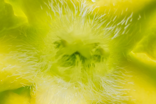 Close-up pollination