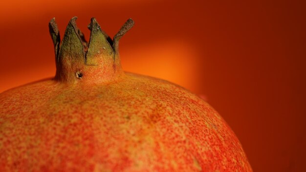Photo close-up of pomegranate
