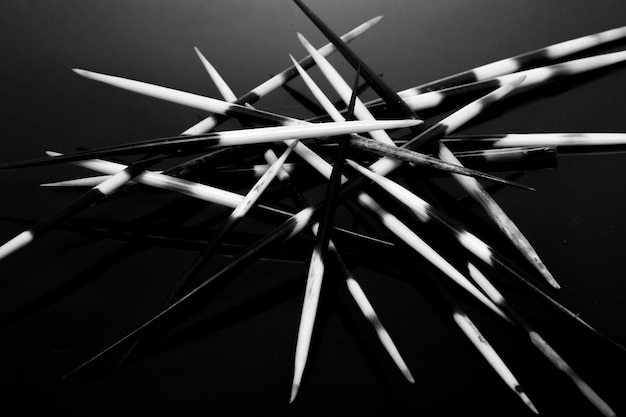 Photo close-up of porcupine quills