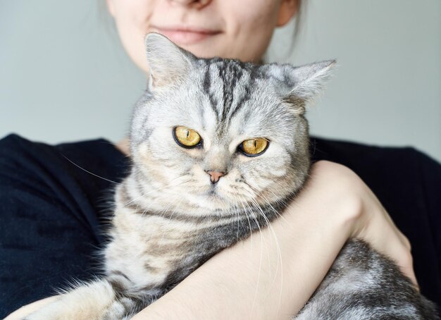 猫のクローズアップポートレート