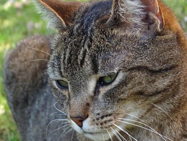 Close-up portrait of eye