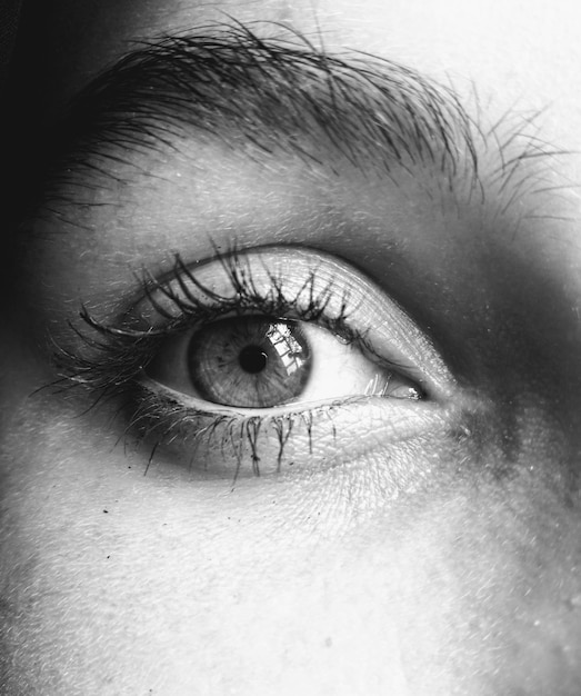 Photo close-up portrait of human eye