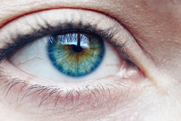 Close-up portrait of human eye