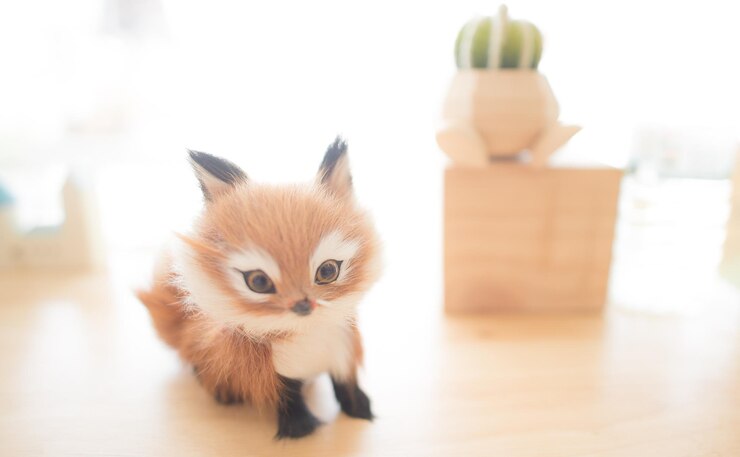 Photo ネコ の 肖像 写真