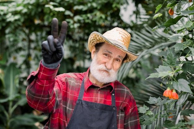 Close up portrait of positive cheerful elderly male gardener in straw hat and workwear with apron standing in the hot house with exotic plants and palm trees and showing victory gesture