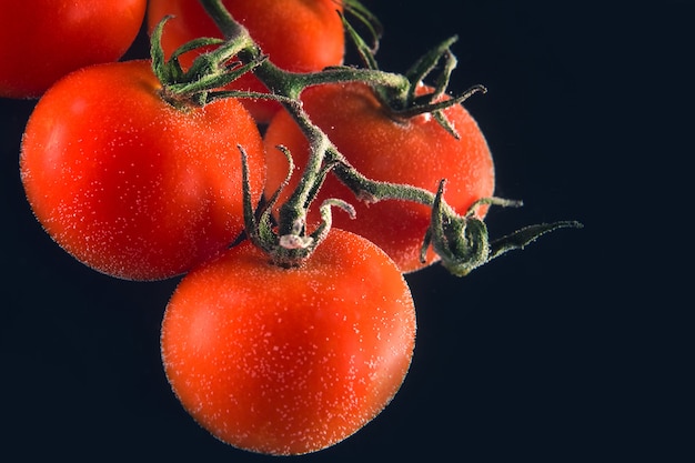 Close up portrait of a ripe red tomatoes