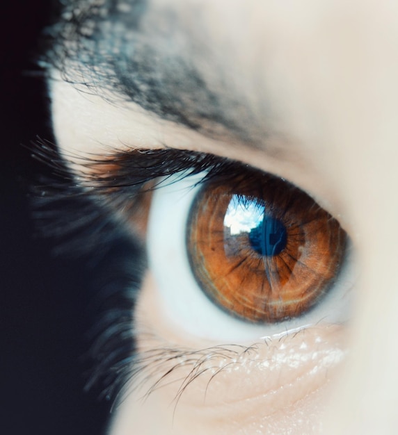 Close-up portrait of woman eye