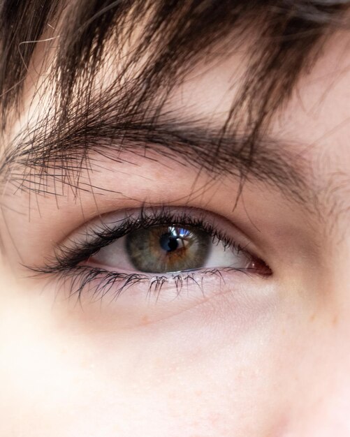 Close-up portrait of woman eye