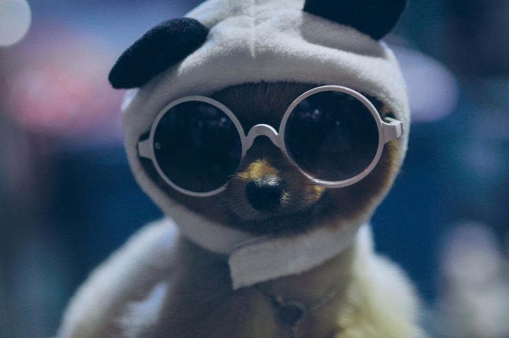 Foto close-up portret van een hond