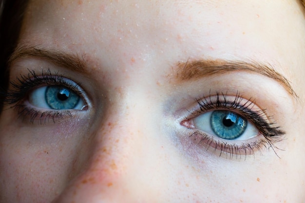 Close-up portret van het menselijk oog