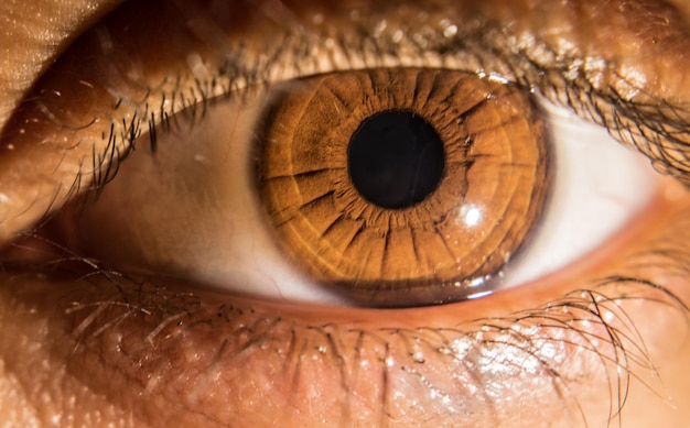 Foto close-up portret van het oog van een vrouw