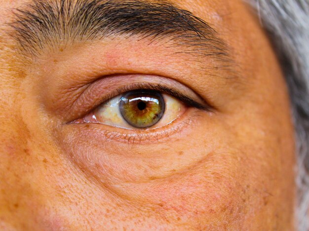 Foto close-up portret van het oog