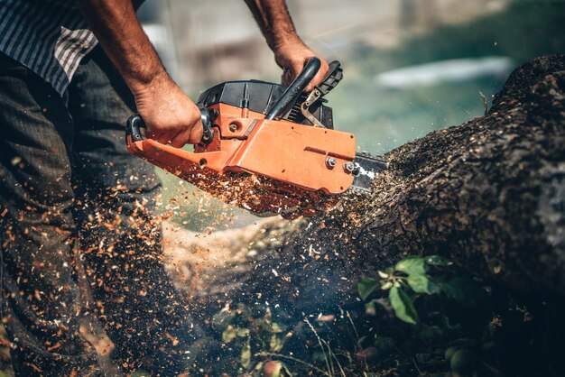 Close-up portret van houthakker snijden boom in de tuin met benzine kettingzaag splinters in verschillende richtingen