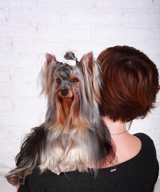 Close-up portret van jonge vrouw met Yorkshire terrier